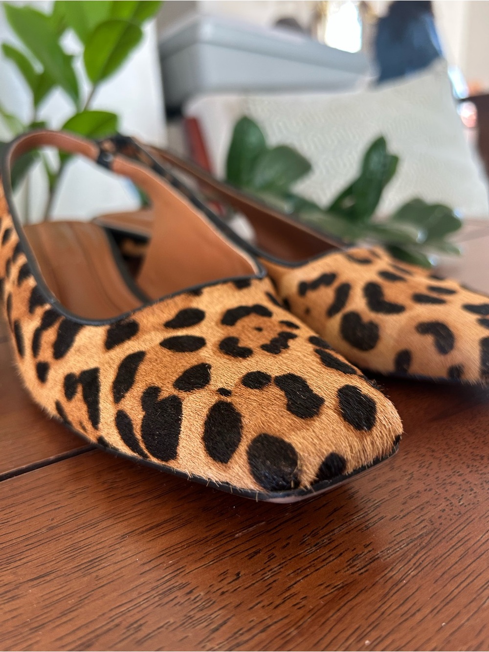Franco Sarto Leopard Print Slingback Pointed Toe Mules - Tan & Black - Picture 14 of 16
